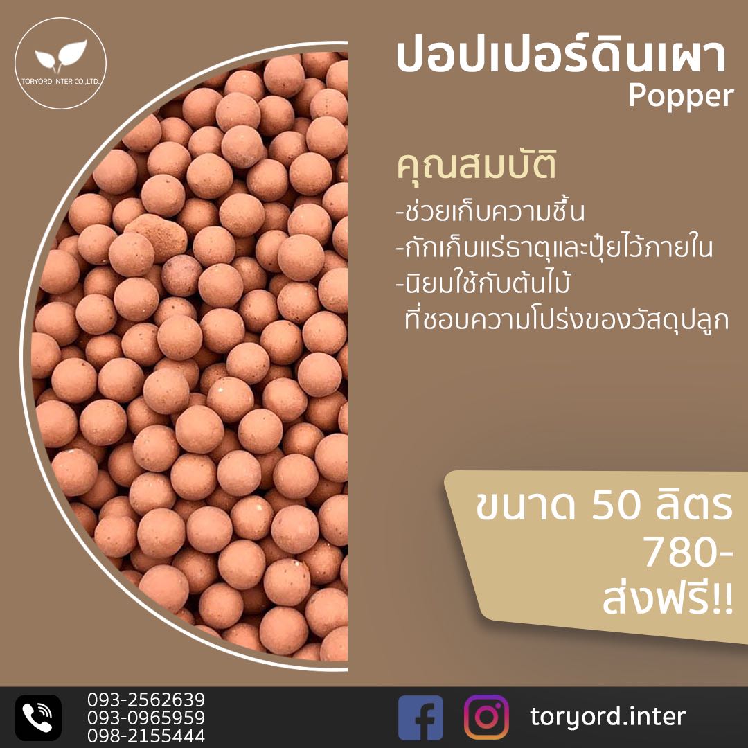 ป๊อบเปอร์ดินเผา