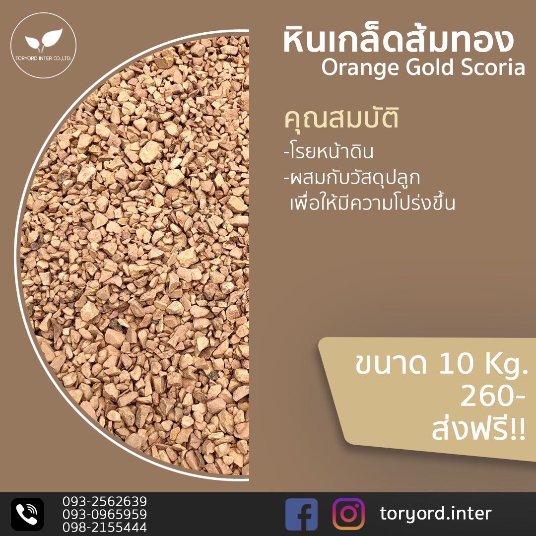 หินเกล็ดส้มทอง
