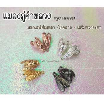 (ของแท้ 100% จัดส่งไว) แมลงภู่คำ ครูบากฤษณะ อินทวัณโณ  ตัวจิ๋ว