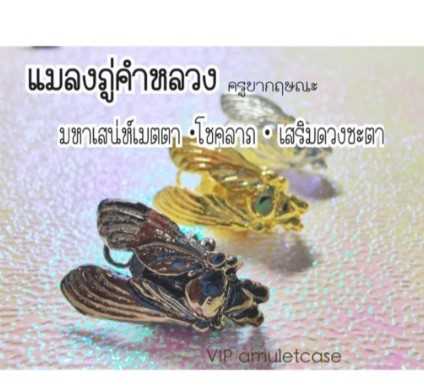 (แมลงภู่คำ ครูบากฤษณะ อินทวัณโณ ขนาดกลางองแท้ 100% จัดส่งไว)