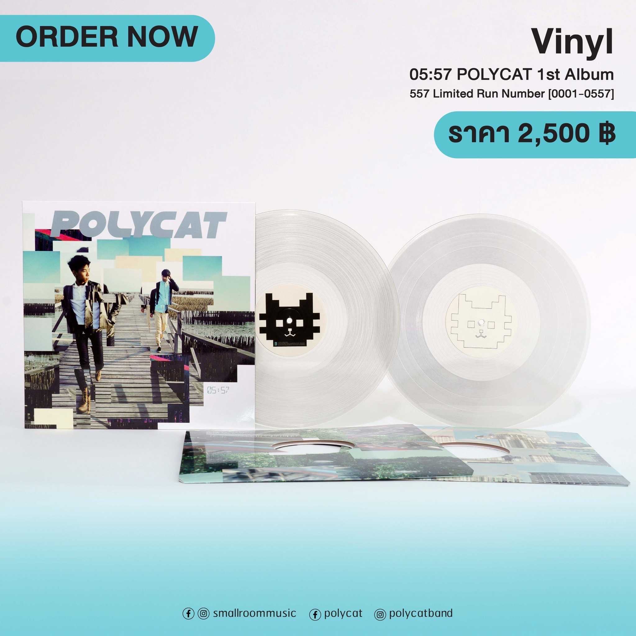 ■มือ1 Vinyl Polycat 1st Album 05:57