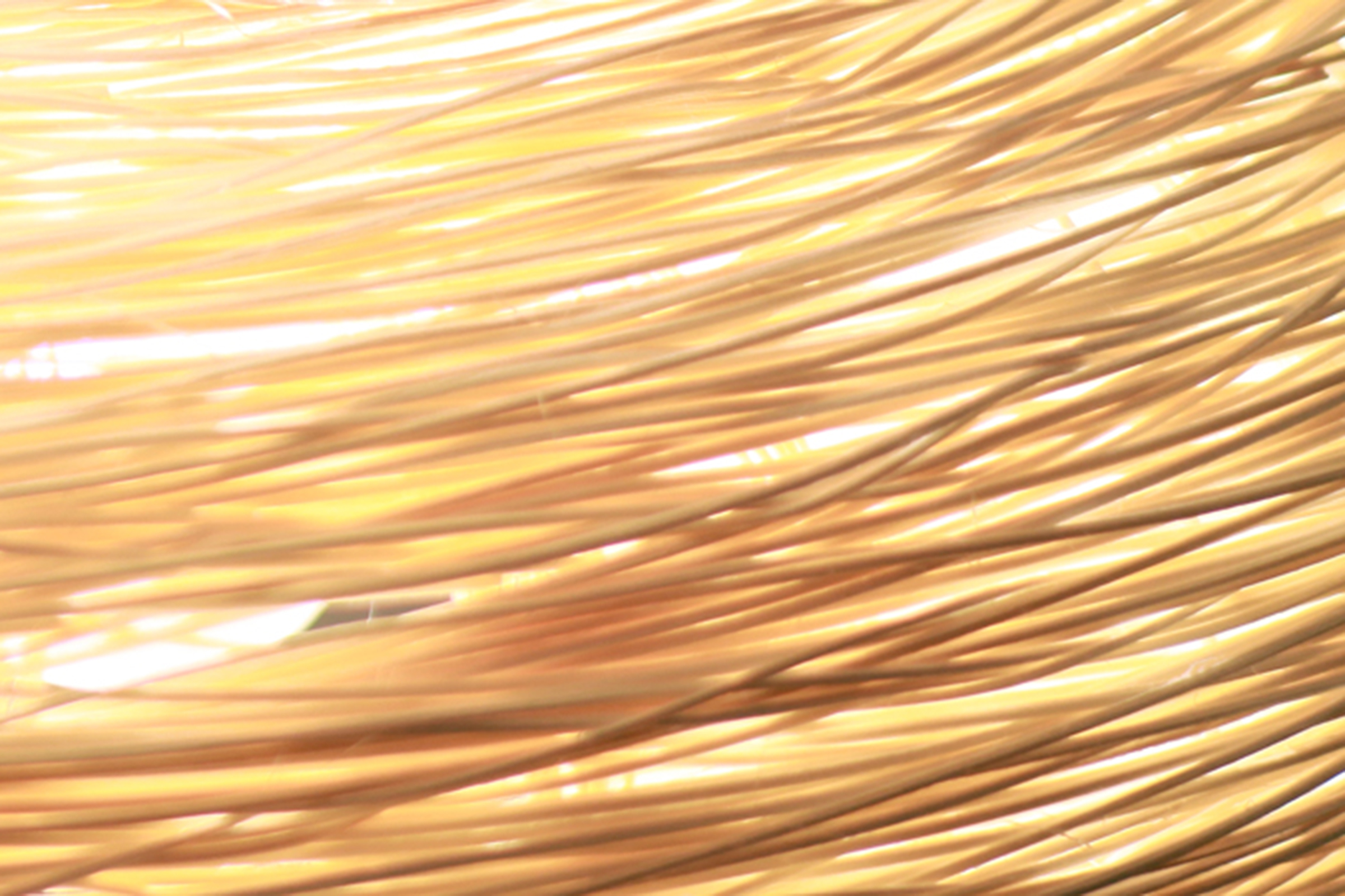 An Image