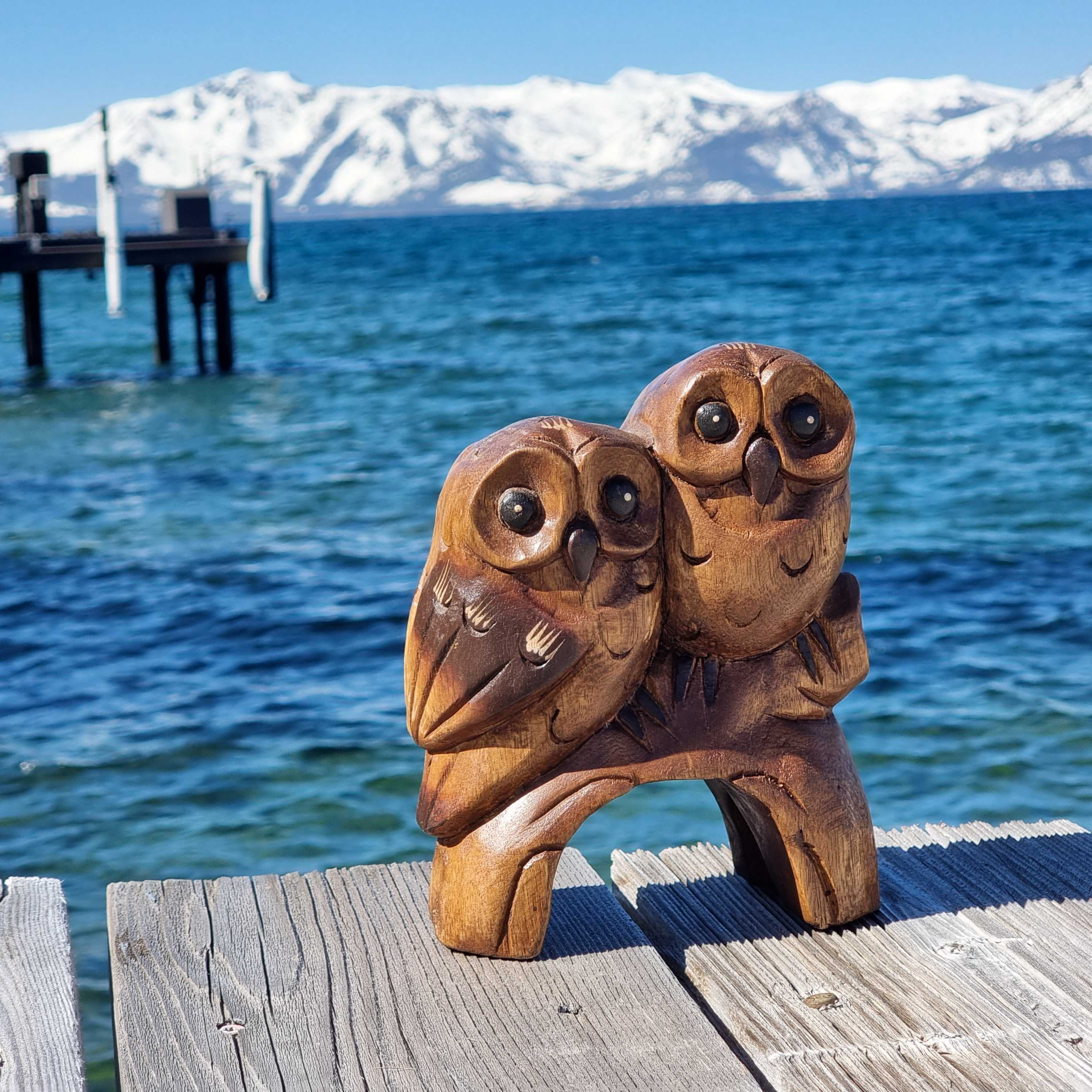 Twin Owls: นกฮูกคู่บนขอนไม้