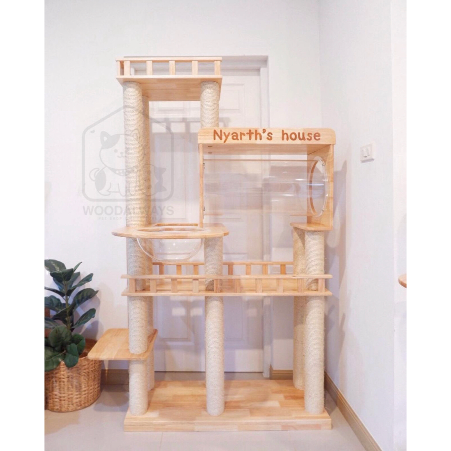 คอนโดแมว | Catcondo-13
