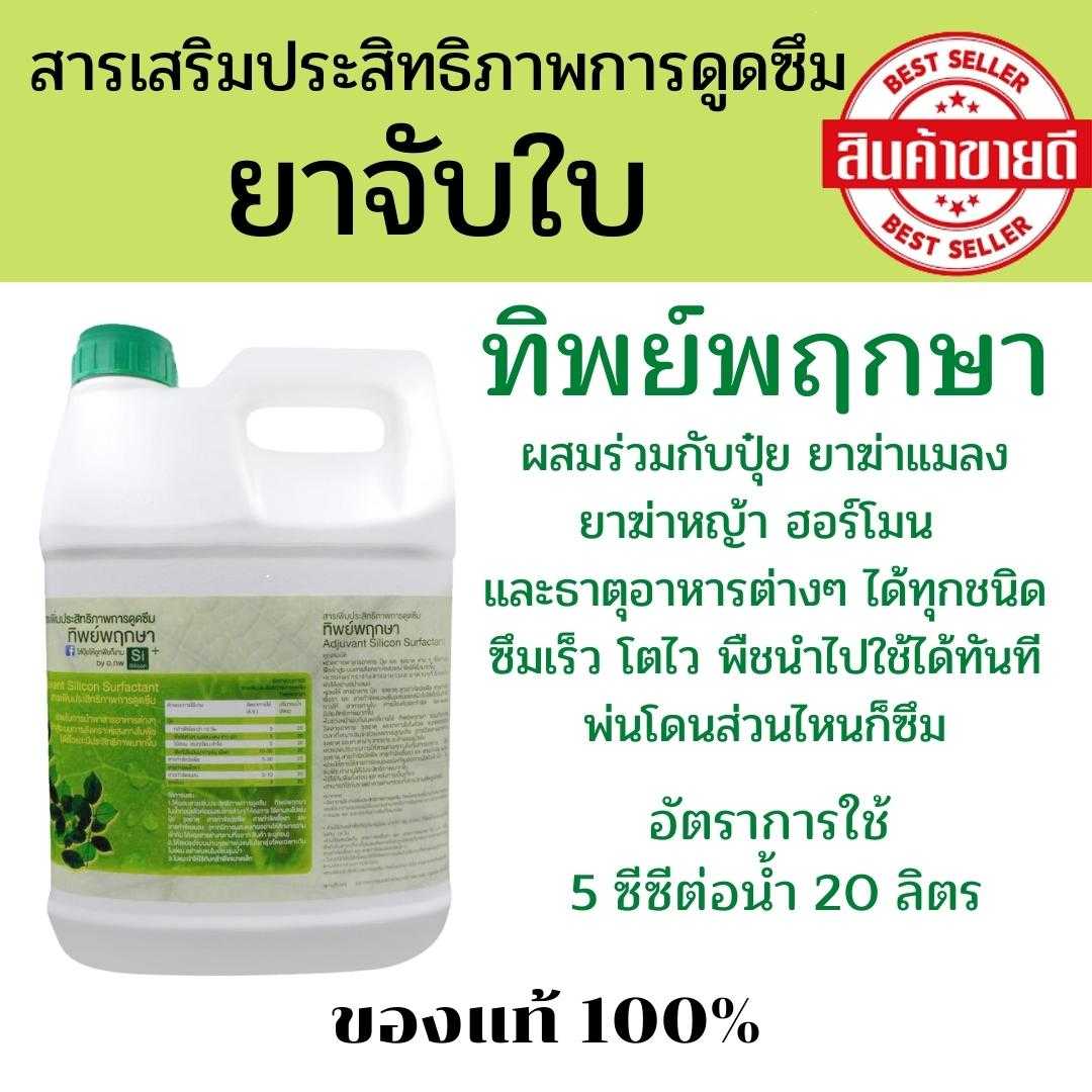 ทิพย์พฤกษา (แกลลอน)