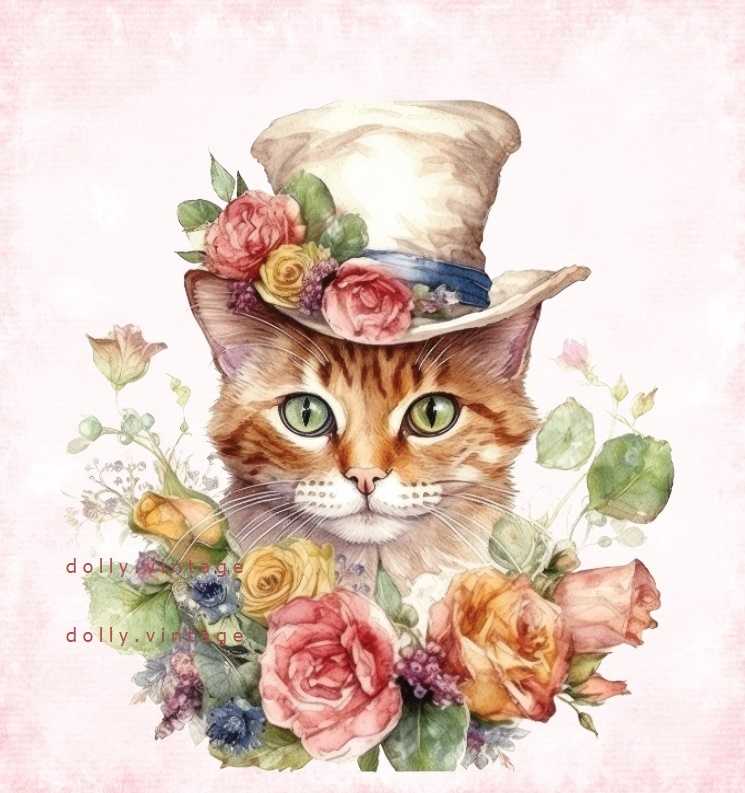 Cat0132 แบบคู่
