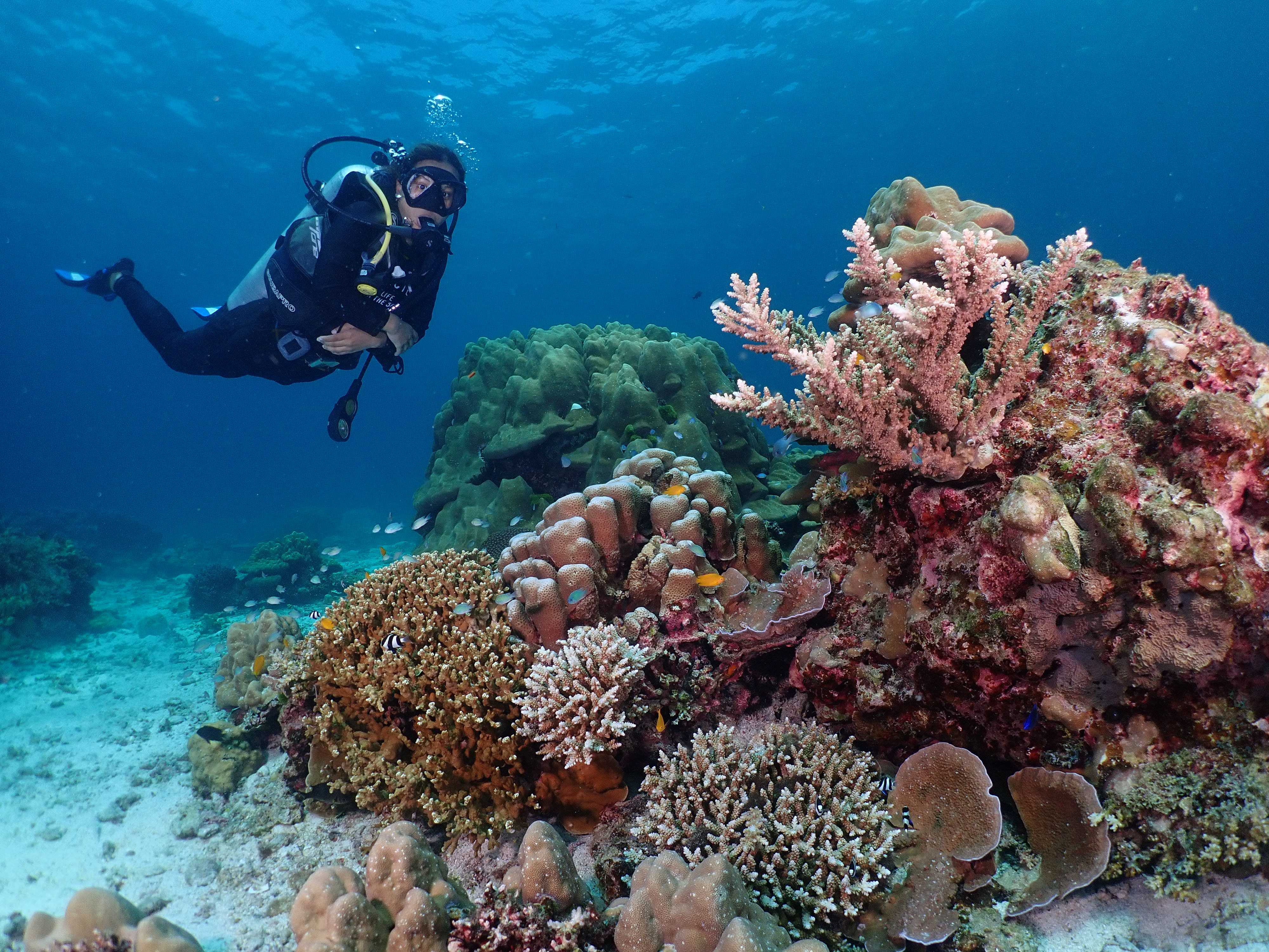 Advanced Open Water Diver Course