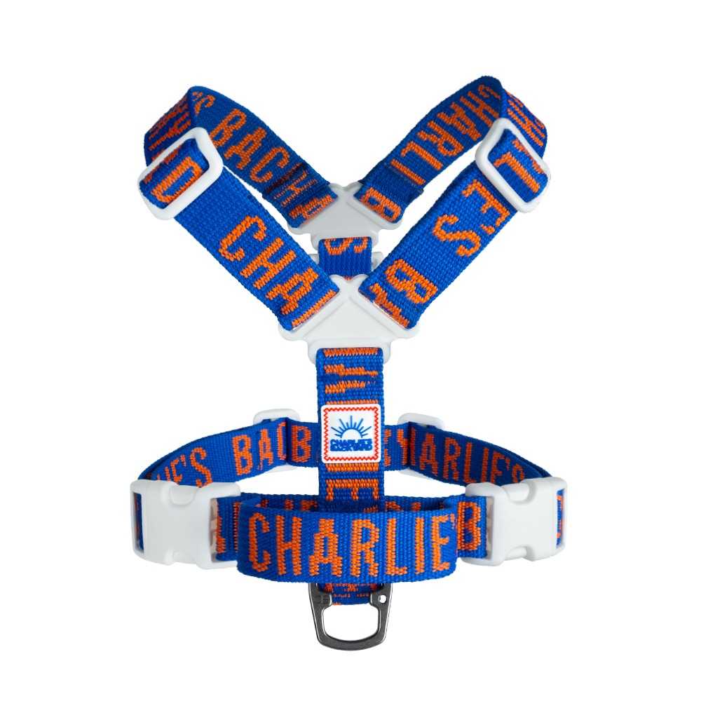 Charlie's Backyard TRIP HARNESS/BLUE