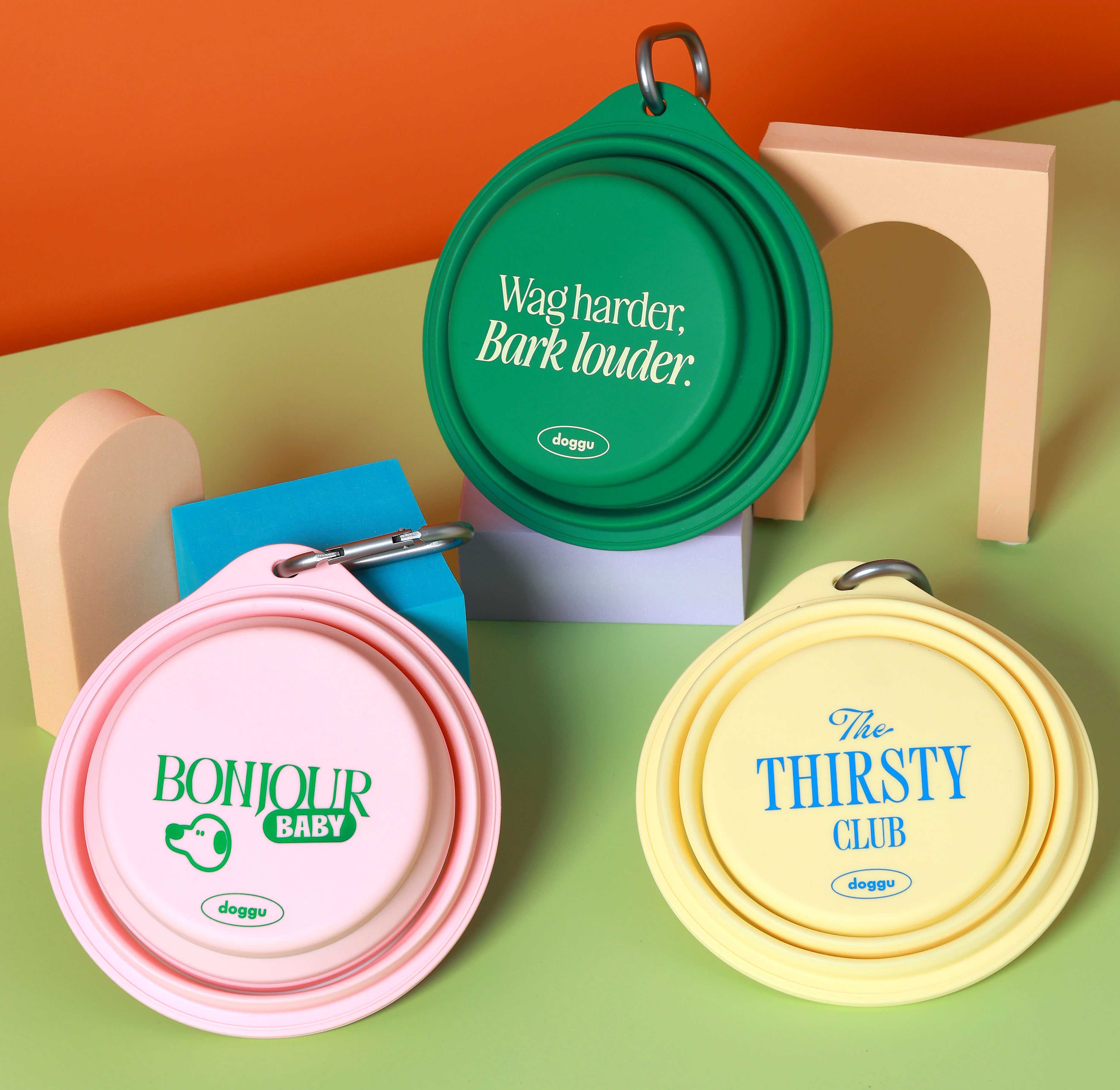 Collapsible Pet Bowl