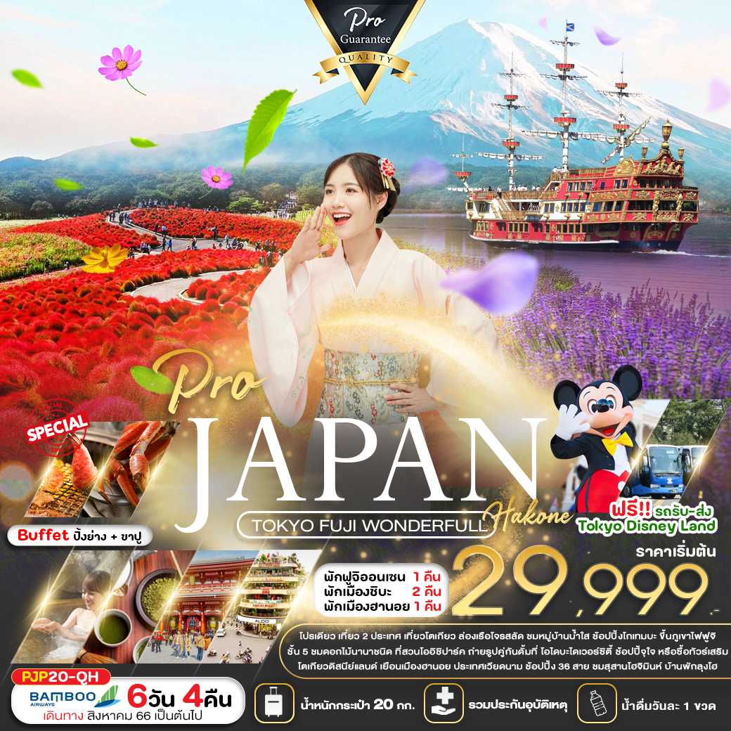 PRO TOKYO FUJI WONDERFULL 6D4N (โปรเดียว เที่ยว 2 ประเทศ) [PR]