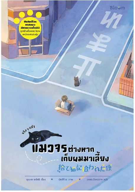 BLOOM: จริง ๆ แล้วแมวจรต่างหากเก็บผมมาเลี้ยง