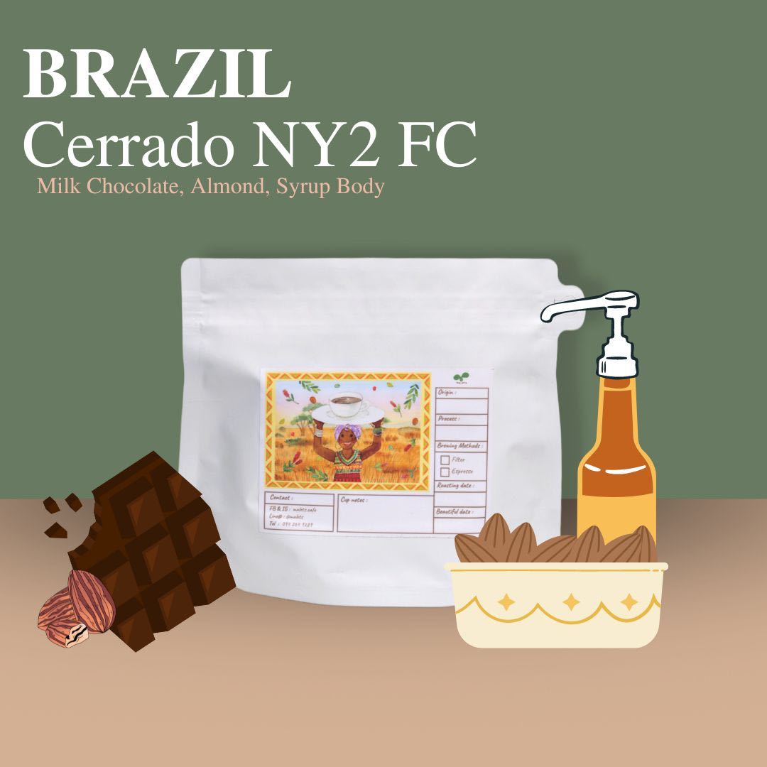 Coffee Bean:  Brazil Cerrado NY2 FC