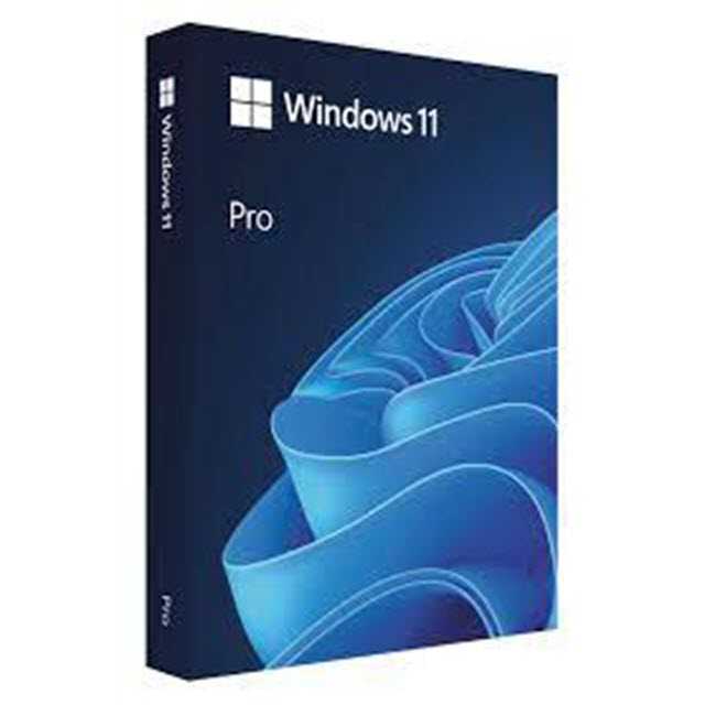 Windows 11 Pro FPP (USB)