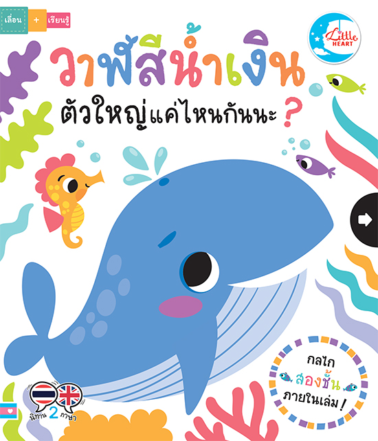 บอร์ดบุ๊ค วาฬสีน้ำเงินตัวใหญ่แค่ไหนกันนะ