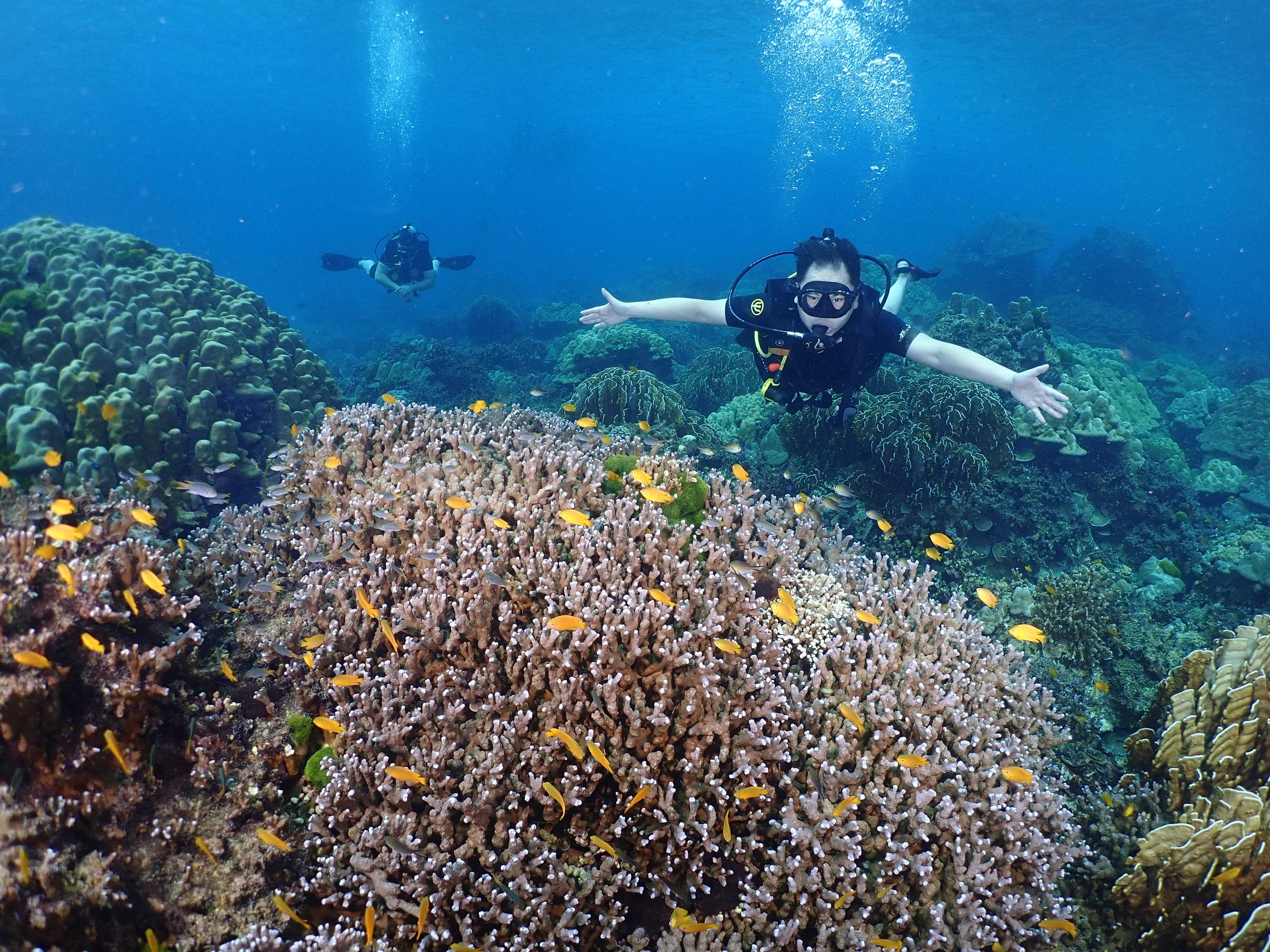 Koh Raya noi /yai