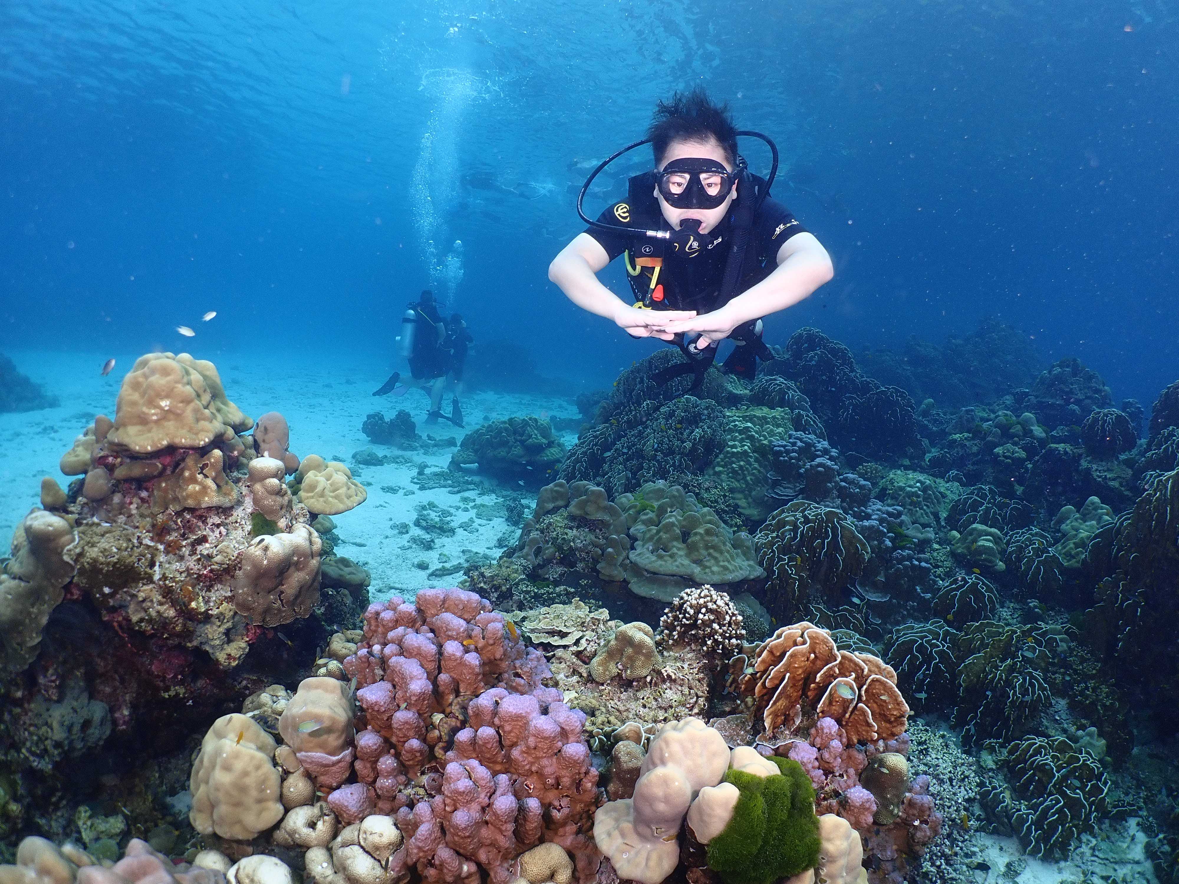 Koh Raya & Phi Phi.   2Days trip