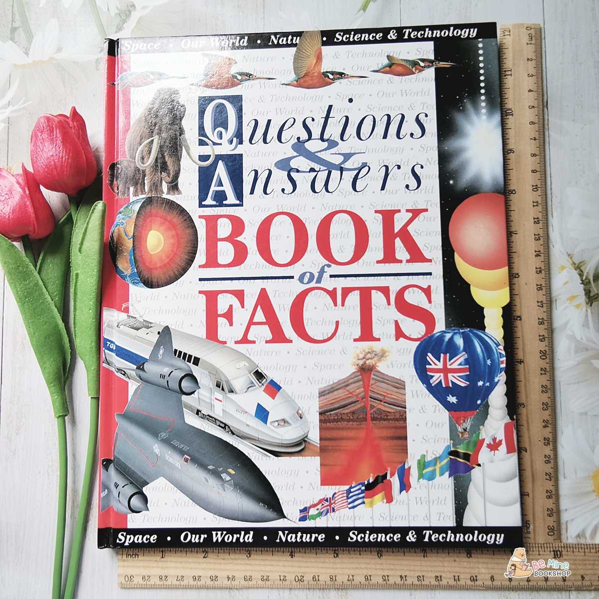 ความรู้ถามตอบ║Questions & Answers Book of Facts║★มือสอง ★ปกแข็ง