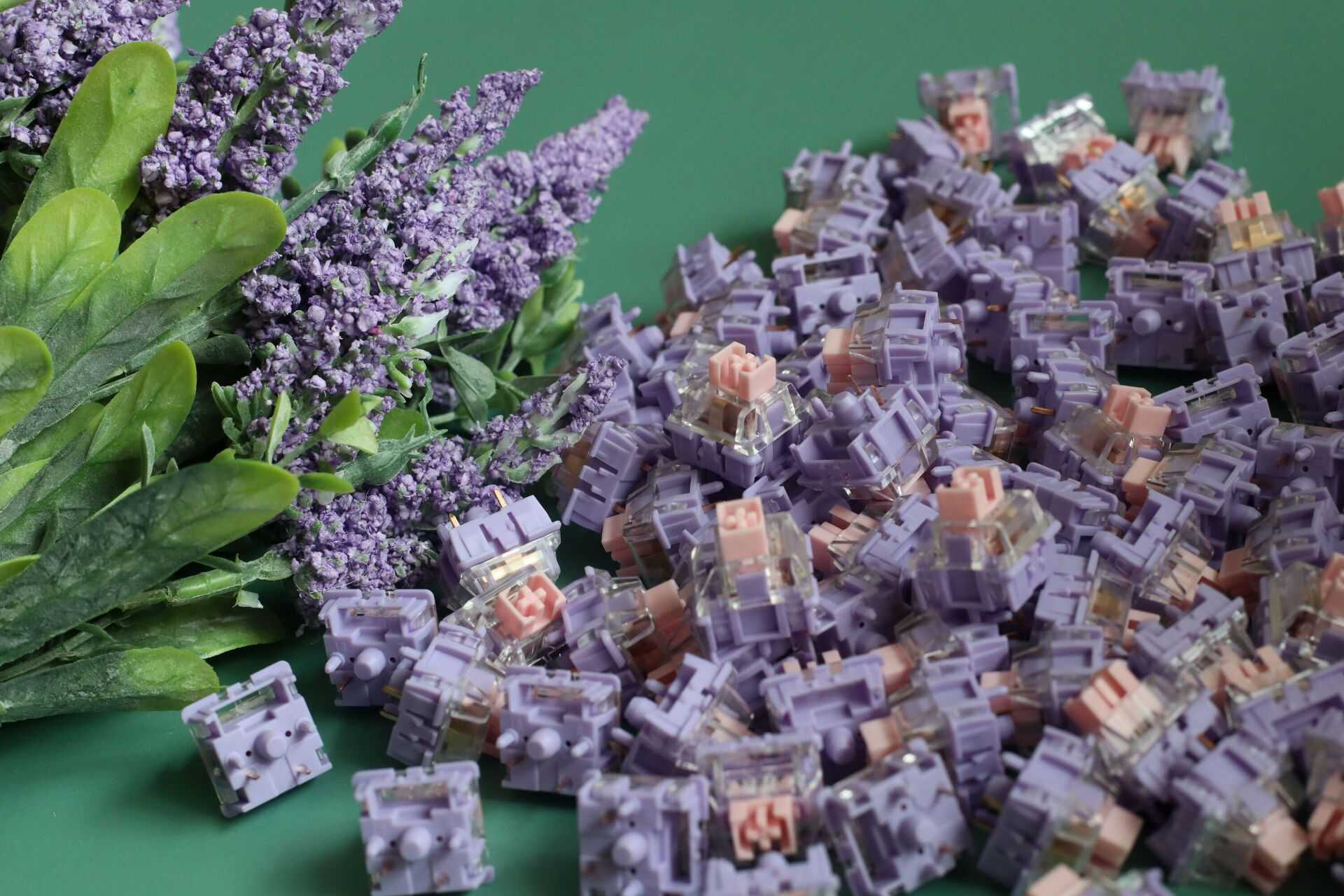 [In-Stock] Haimu Viola Tactile Switch 10 ตัว (21 ฿/ตัว)