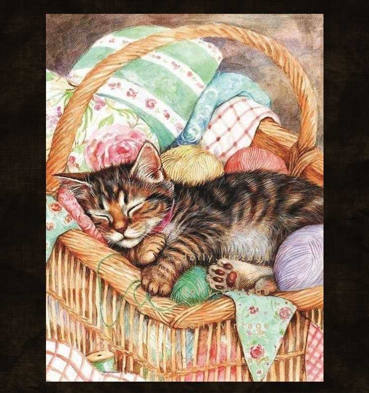 Cat0196