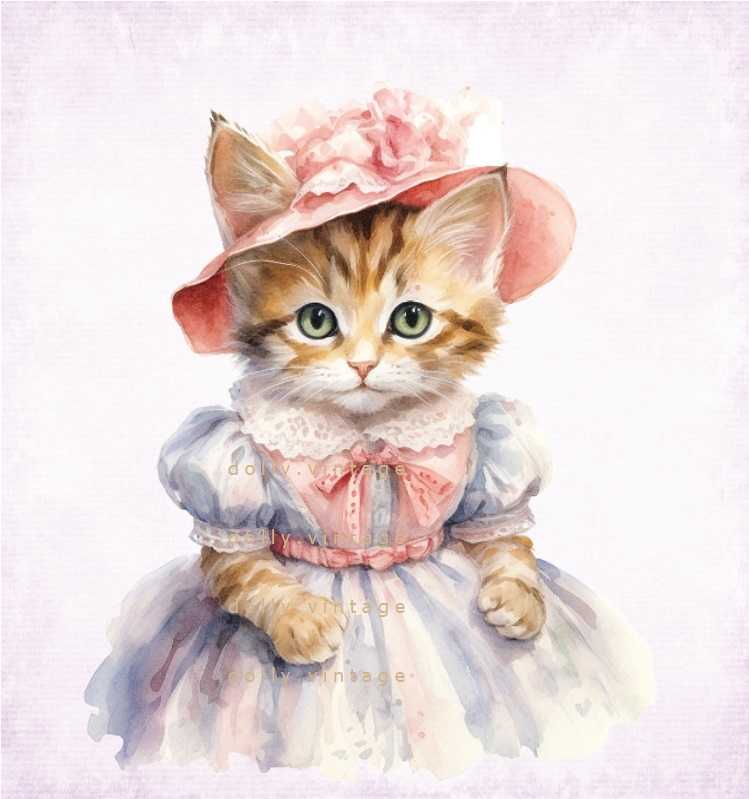 Cat0243