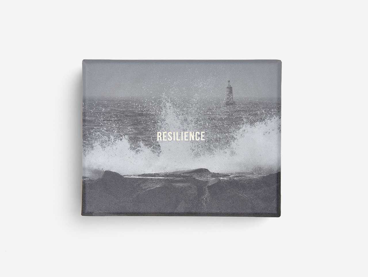 (Eng) Resilience Cards  / The School of Life
