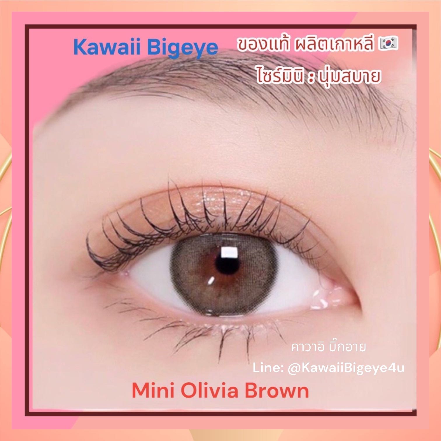 💕มีค่าสายตาสั้น💕 คอนแทคเลนส์ mini Olivia brown Kitty kawaii