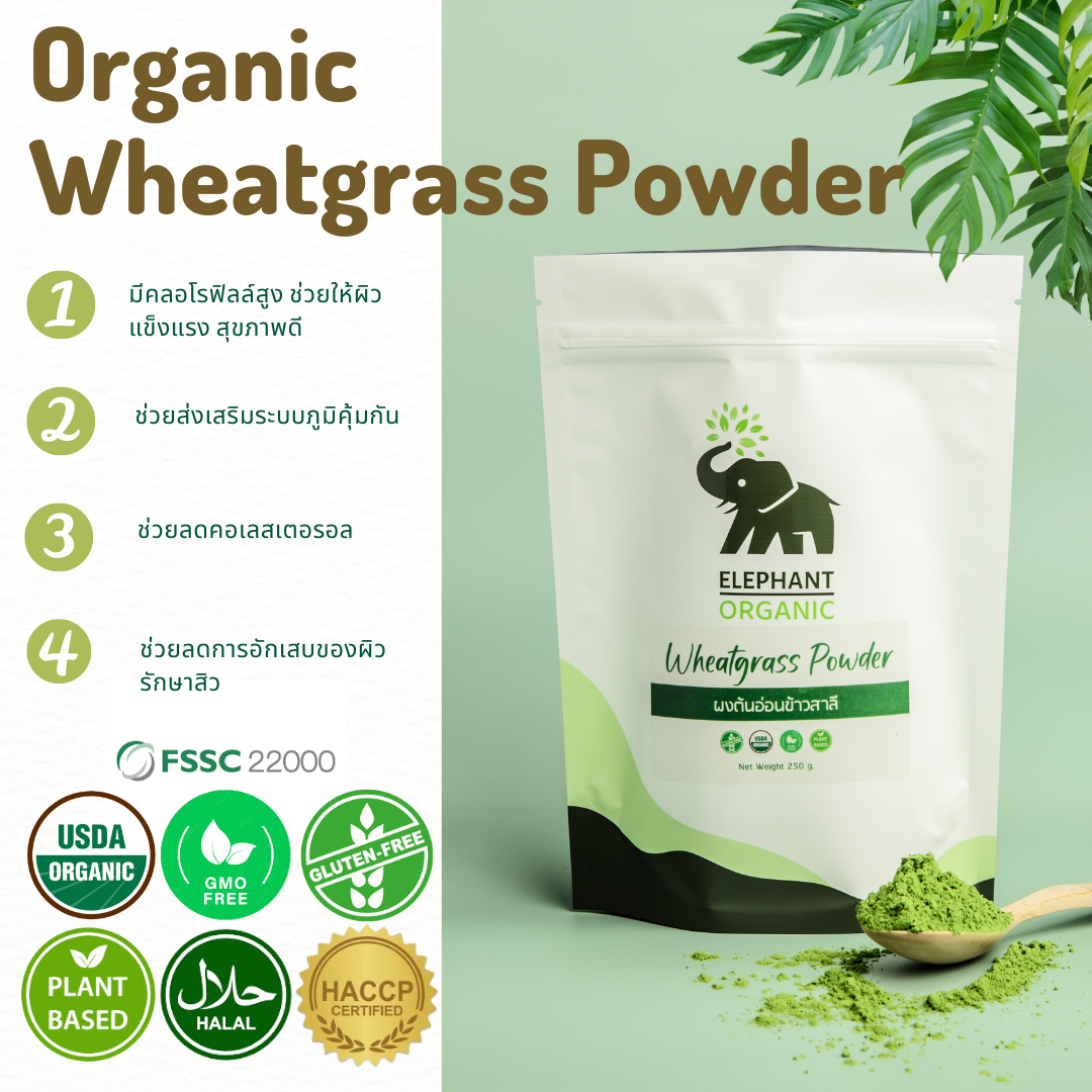 ผงต้นอ่อนข้าวสาลี ออร์แกนิค Organic Wheatgrass Powder 250g