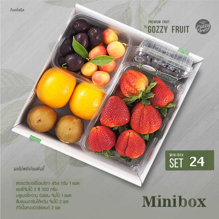 Mini box set 24  ยอดนิยม