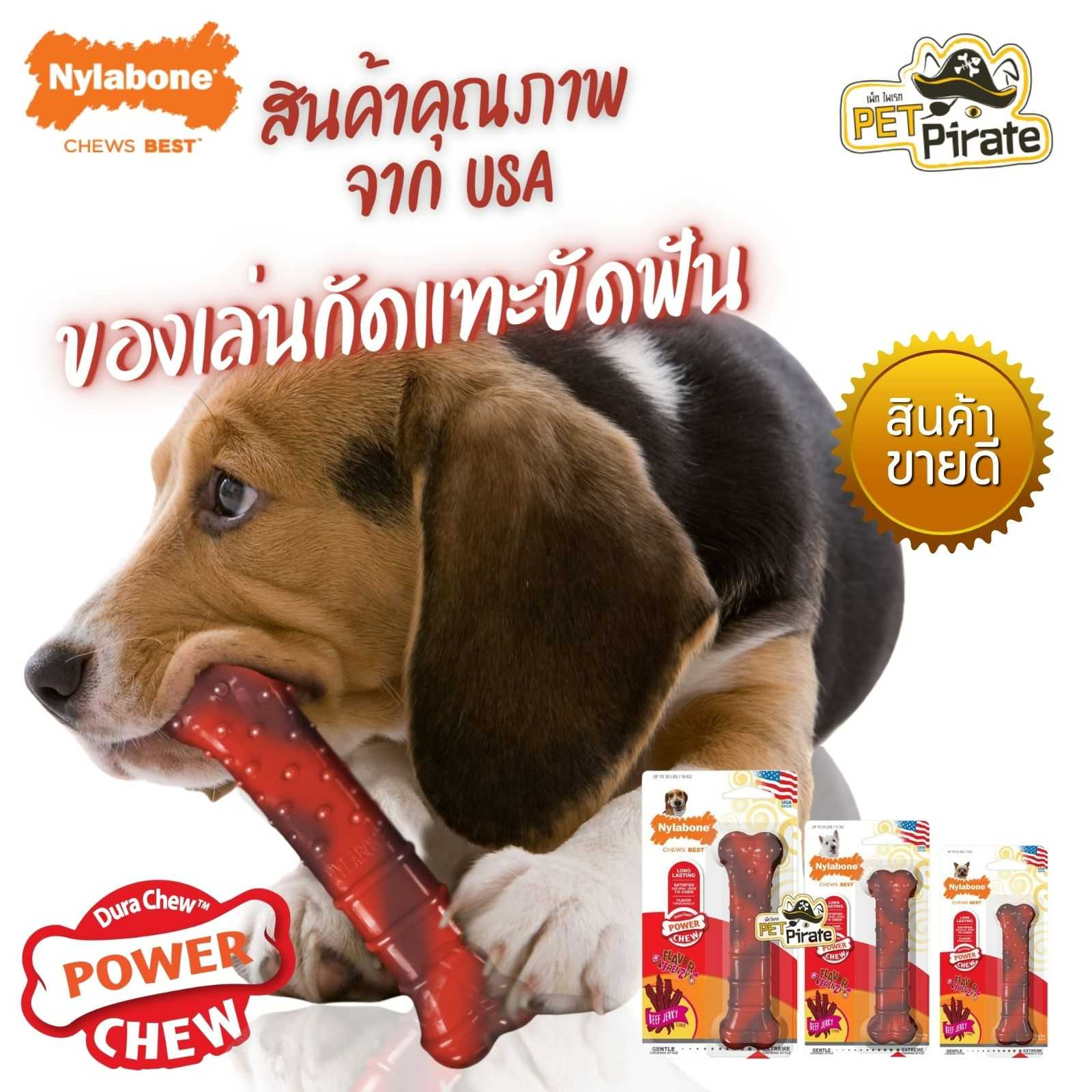 Nylabone ของเล่นยางกัดแทะขัดฟัน รสเนื้ออบแห้ง [Beef Jerky] รูปทรงกระดูก สำหรับสุนัขสายแทะ