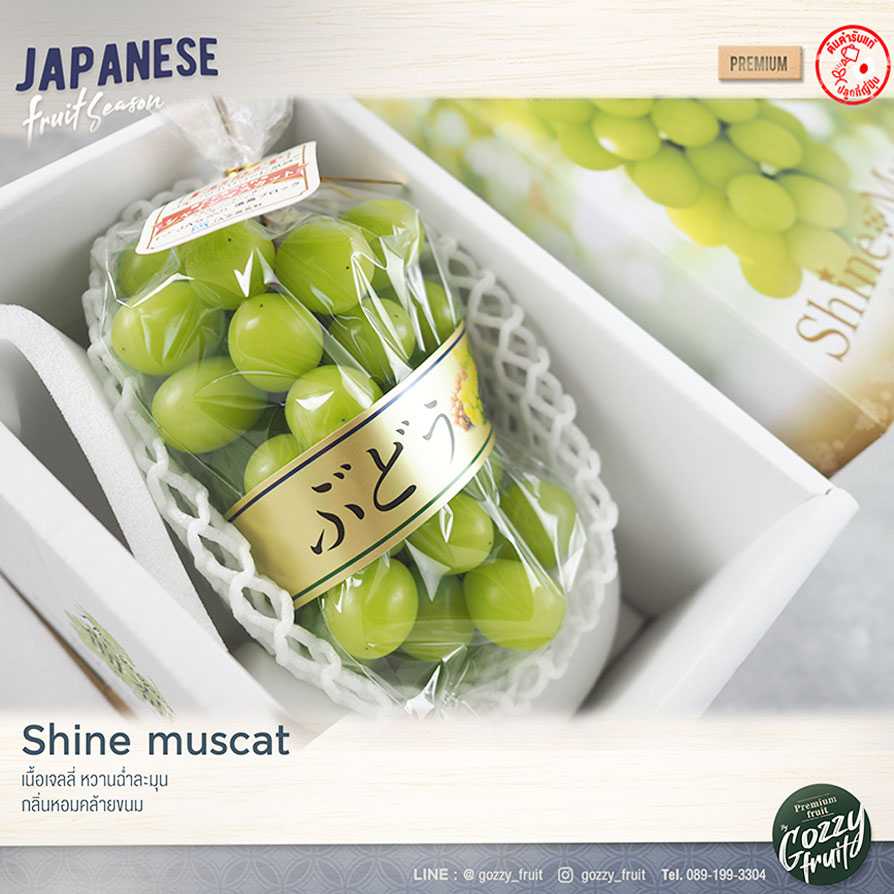 องุ่นญี่ปุ่น Shine muscat Gift box รุ่นพรีเมี่ยม