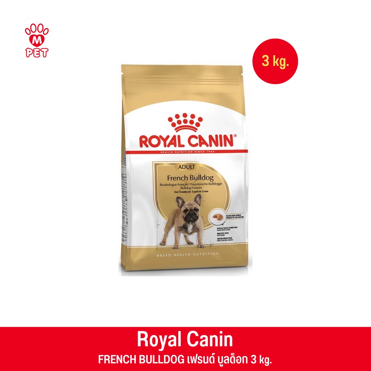 FRENCH BULLDOG ADULT 3kg.สุนัขโตพันธุ์เฟรนช์ บูลด็อก