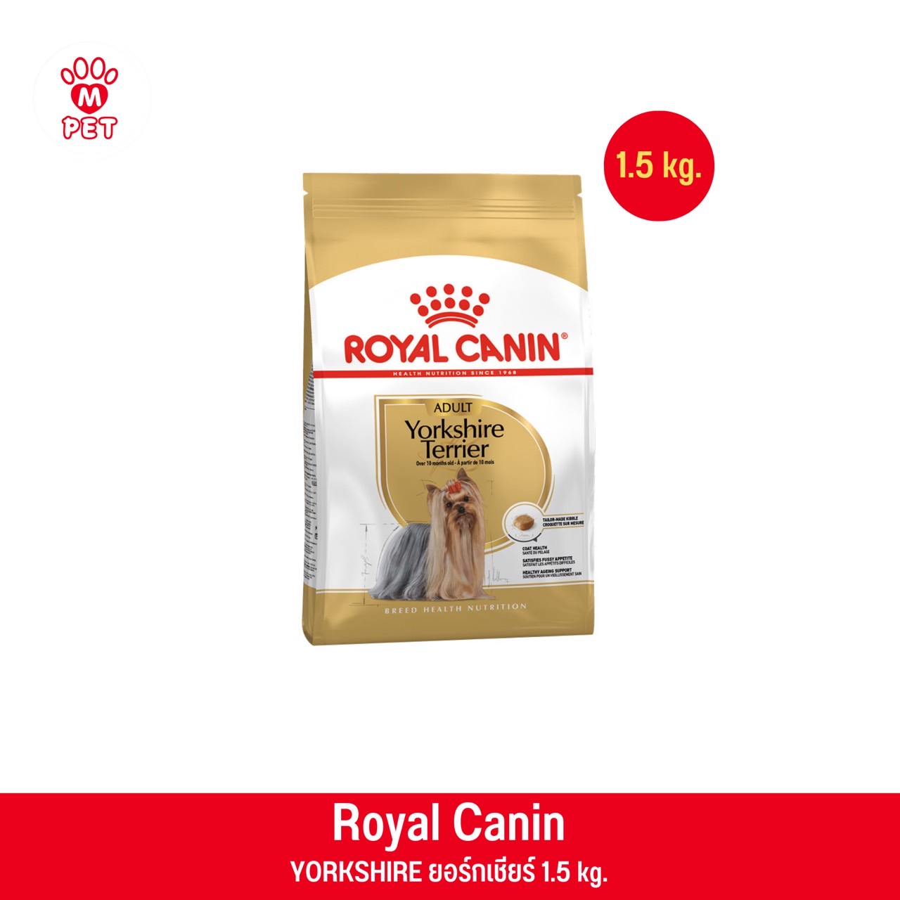 YORKSHIRE ADULT 1.5kg. สุนัขโตพันธุ์ยอร์คไชร์ เทอร์เรีย