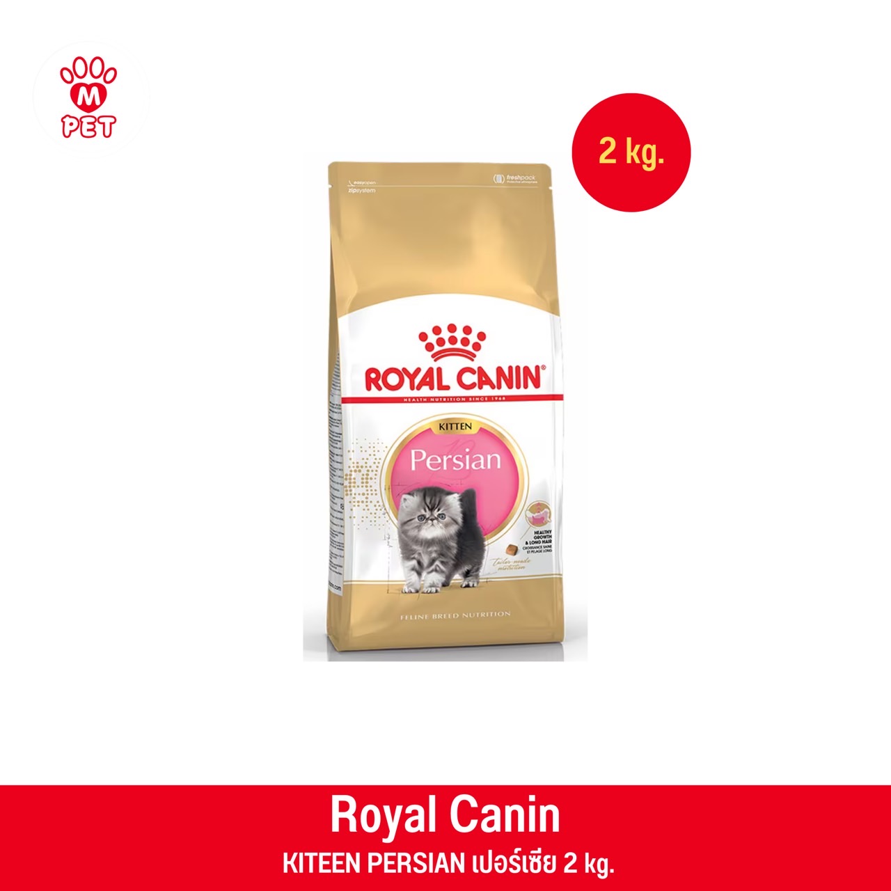KITTEN PERSIAN 2kg. ลูกแมวพันธุ์เปอร์เซีย