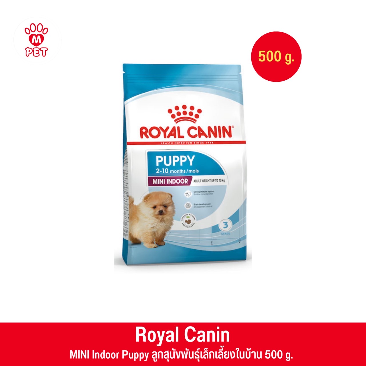 MINI INDOOR PUPPY 0.5kg. ลูกสุนัขพันธุ์เล็ก เลี้ยงในบ้าน