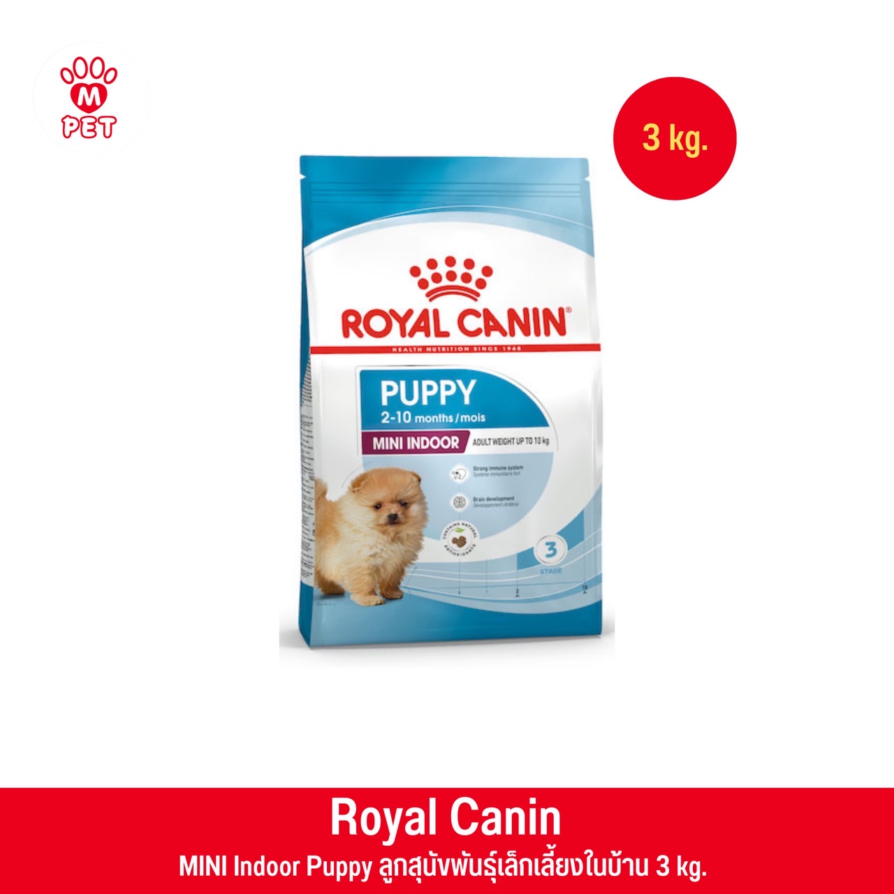 MINI INDOOR PUPPY 3kg. ลูกสุนัขพันธุ์เล็ก เลี้ยงในบ้าน