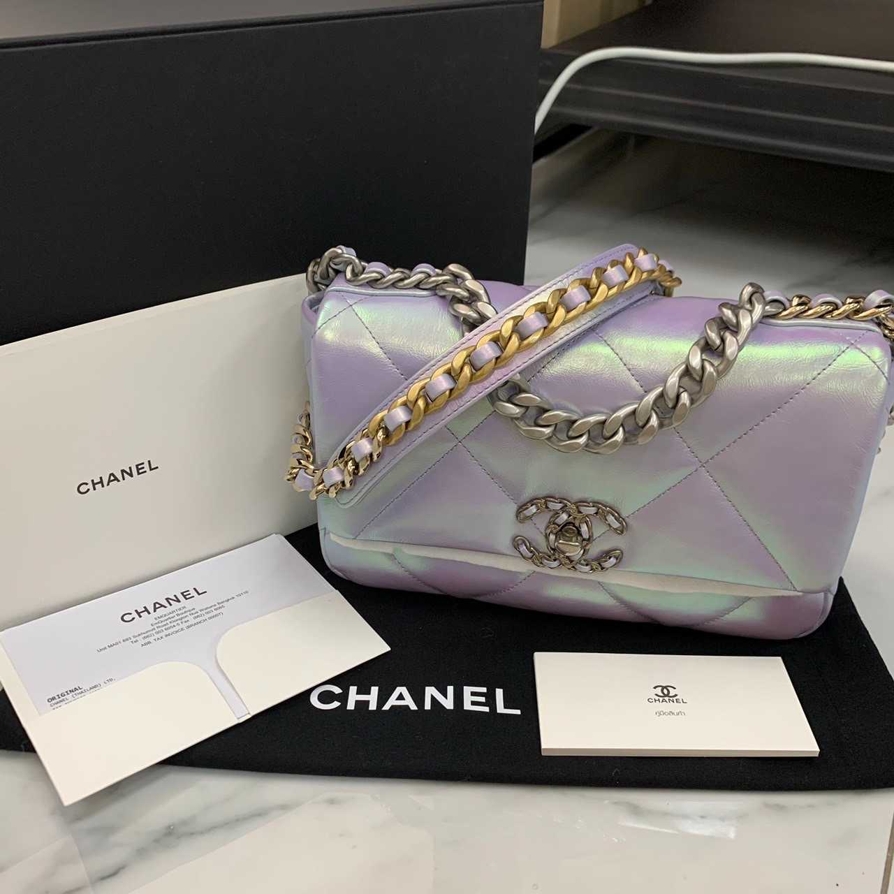 CO230509820 / Chanel / 19 Iridescent Calfskin Microchip