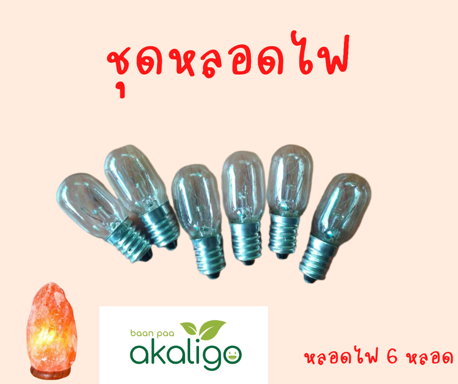 ชุดหลอดไฟ E14 หลอดใหญ่