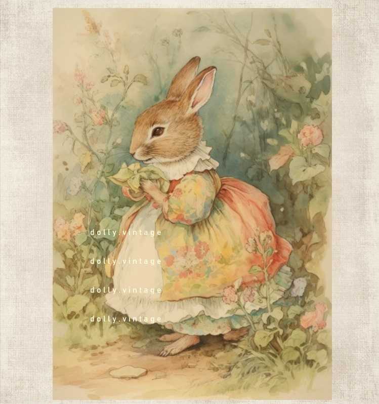 Rabbit0105