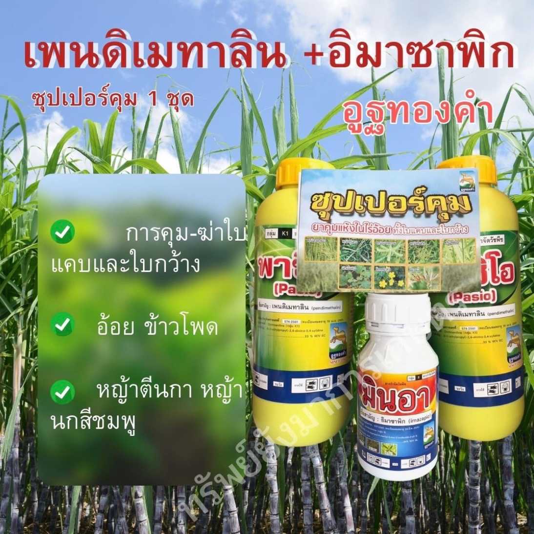ซุปเปอร์คุม (เพนดิเมทาลิน อิมาซาพิก) ยาคุมแห้งในไร่อ้อย กำจัดวัชพืช ทั้งใบแคบ และ ใบกว้าง