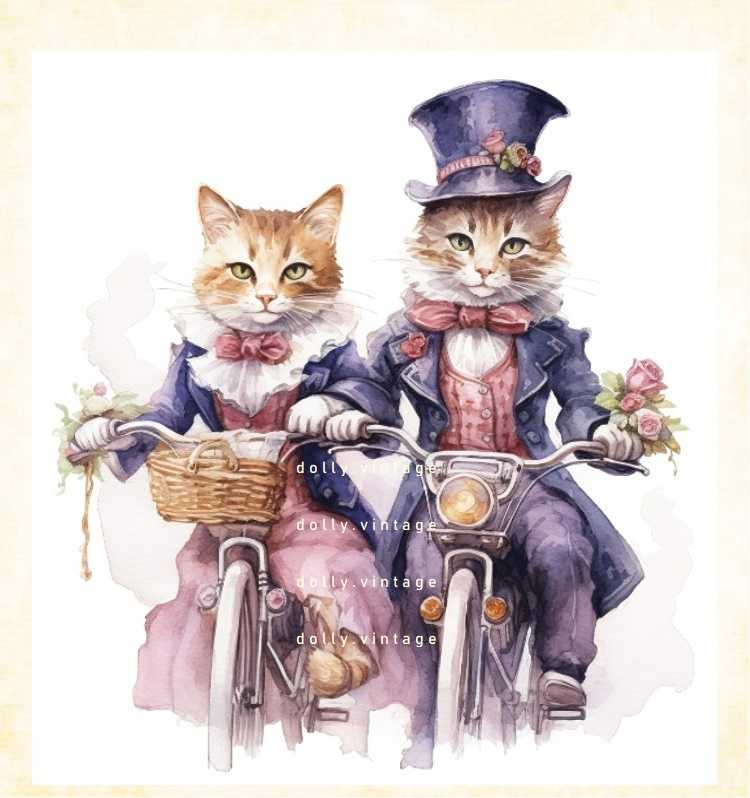 Cat0347 แบบคู่