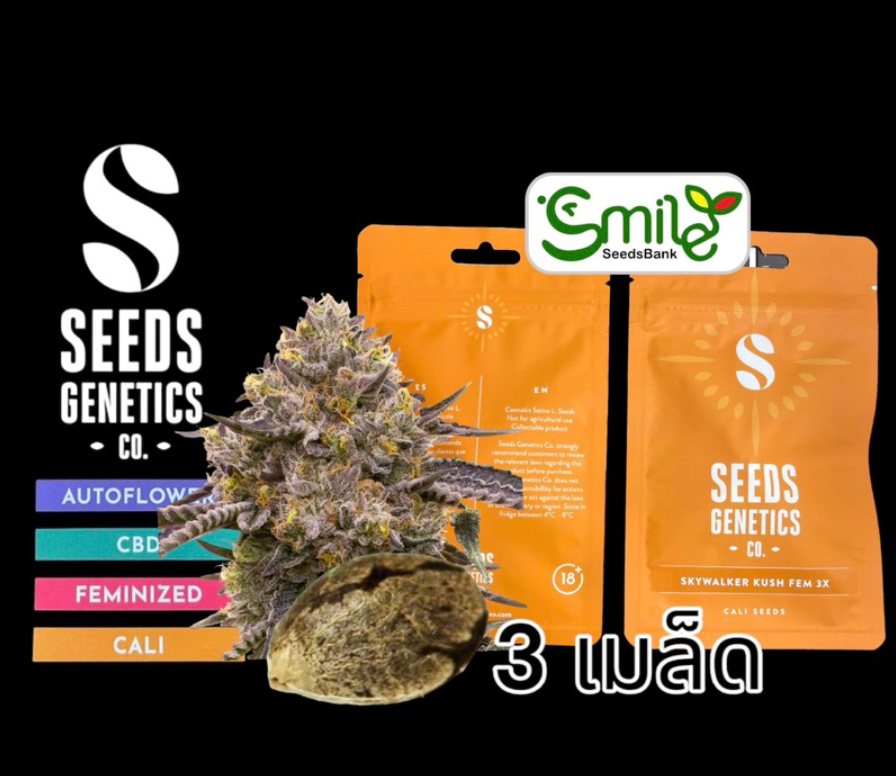 Skywalker Kushh Fem -Pack 3
