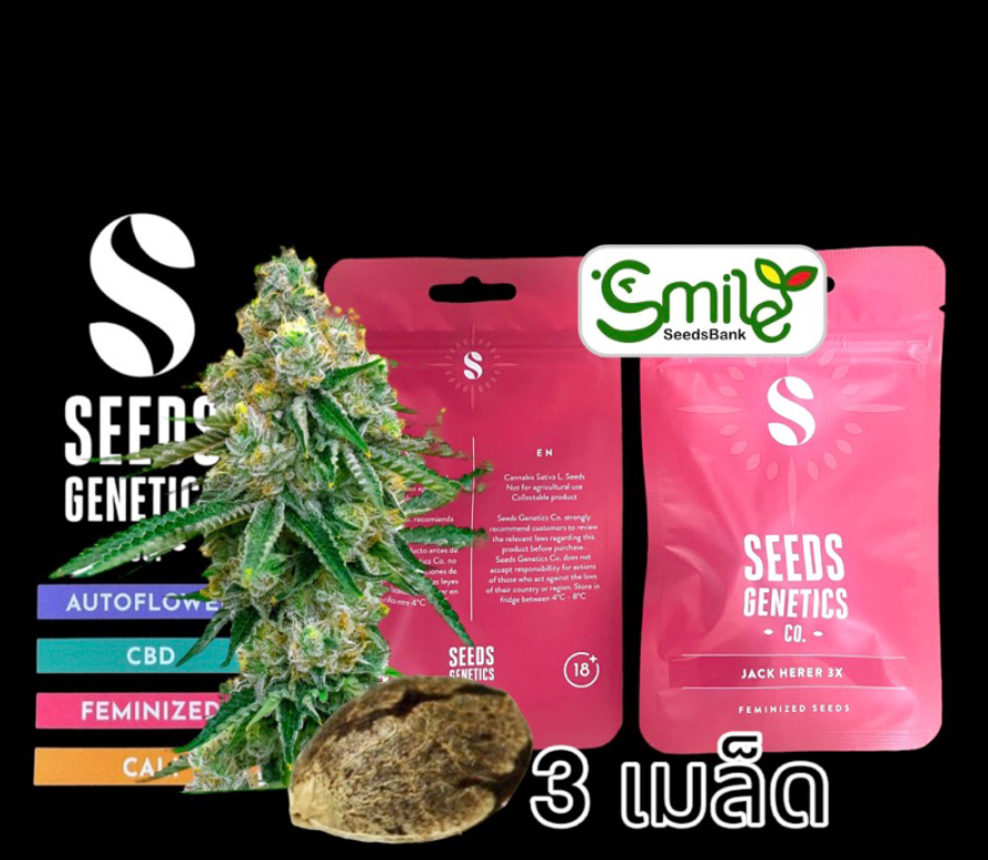 Jack Herer Fem - Pack 3