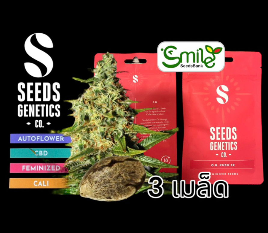 O.G. Kushh  Fem - Pack 3