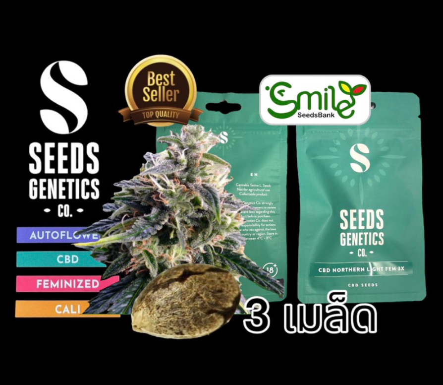 CBD Northern Light Fem - Pack 3