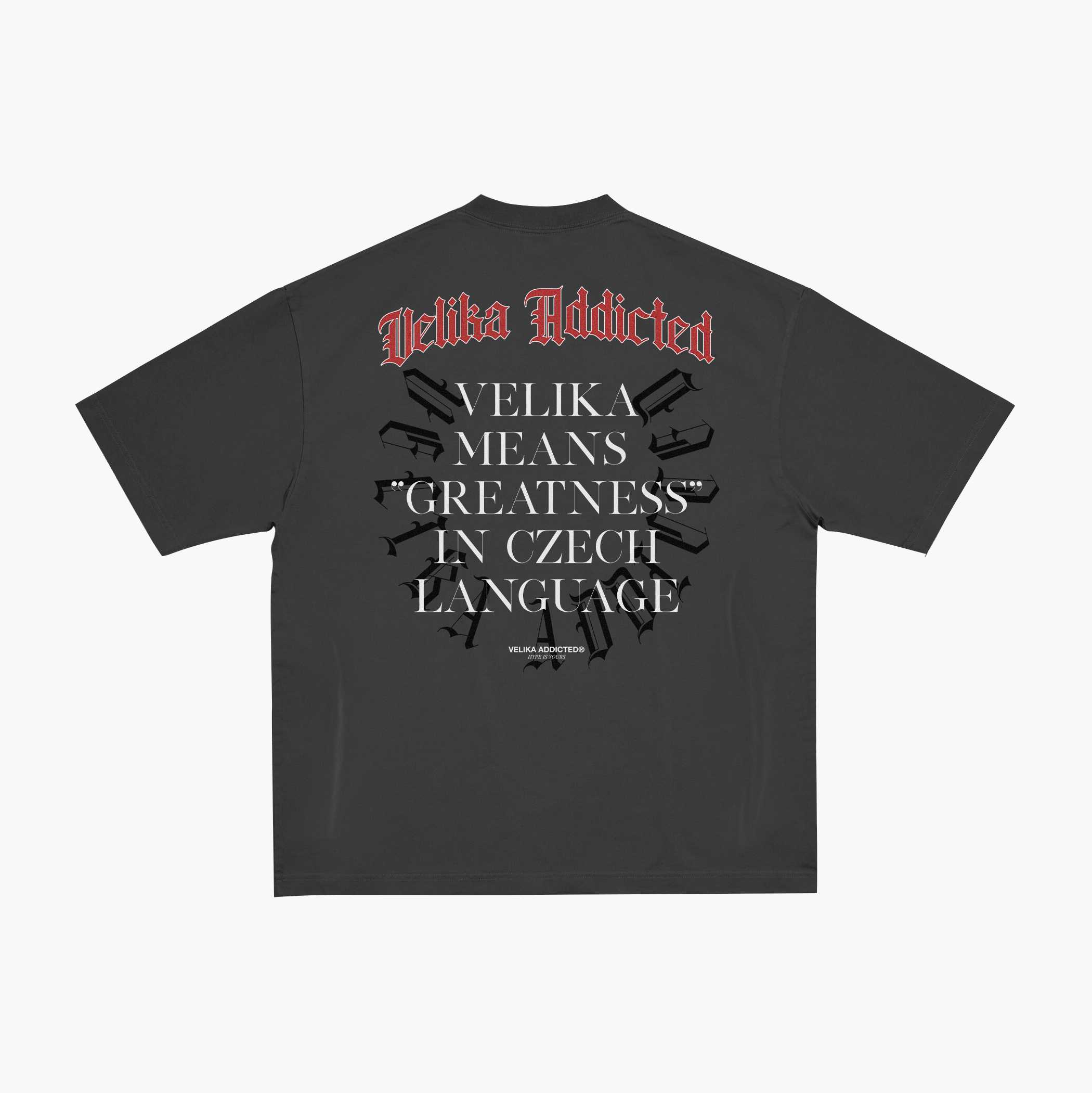 GREATNESS Oversize T-Shirt [Dark Grey]