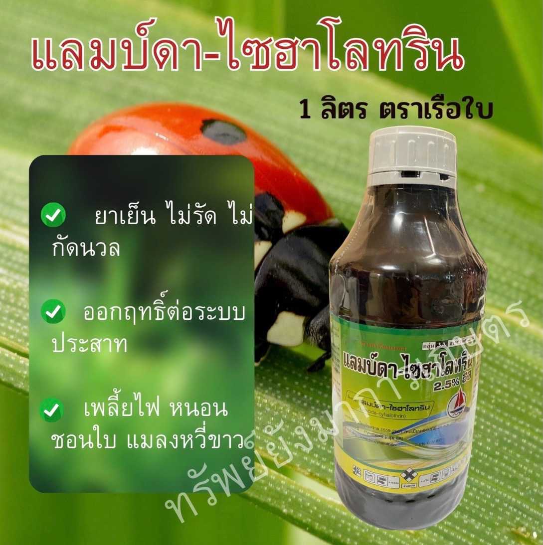 แลมบ์ดา (ไซฮาโลทริน 2.5อีซี) 1ลิตร ป้องกัน กำจัดแมลงศัตรูพืชได้หลายชนิด