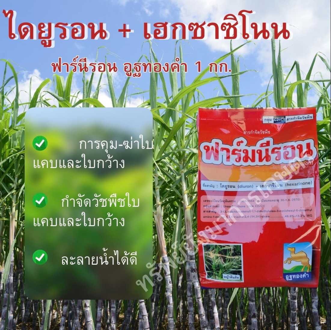 ฟาร์มนีรอน ไดยูรอน+เฮกซาซิโน ขนาด 1กิโลกรัม กำจัดวัชพืชใบกว้าง ใบแคบ ยาคุมอ้อย มันสัมปะหรั่ง