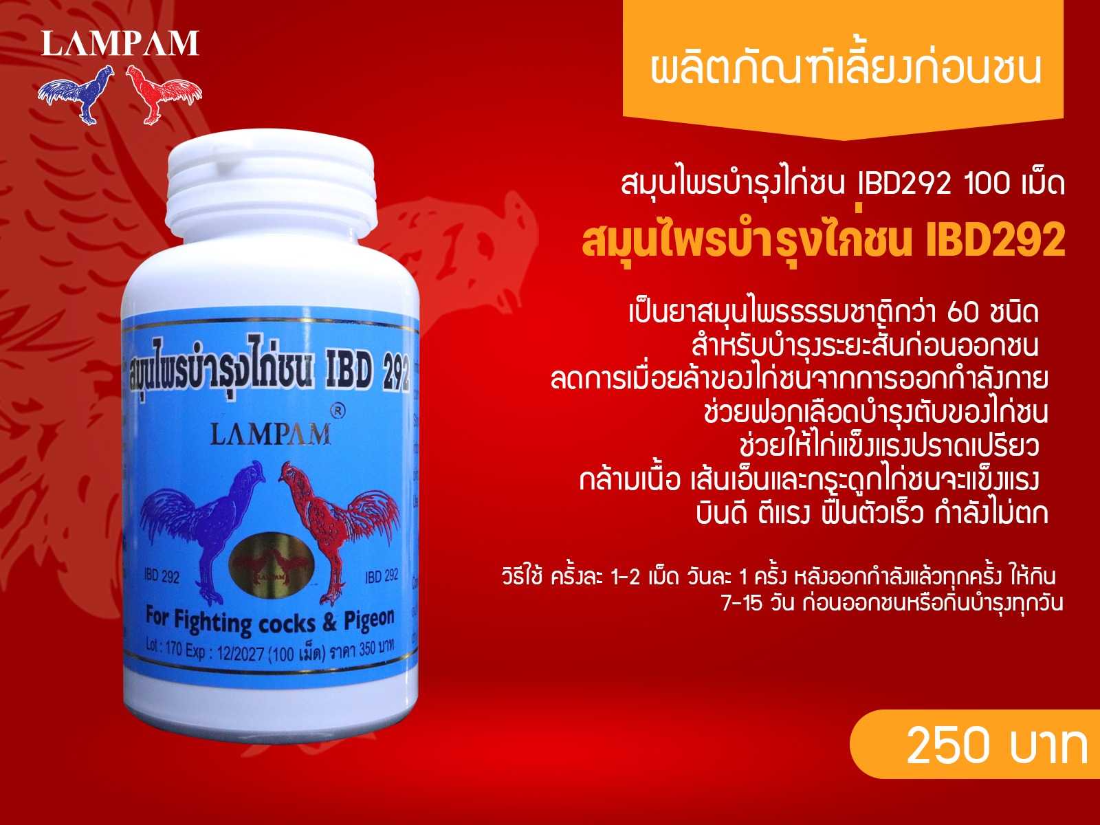 IBD292(สีดำ) ขนาดกลาง