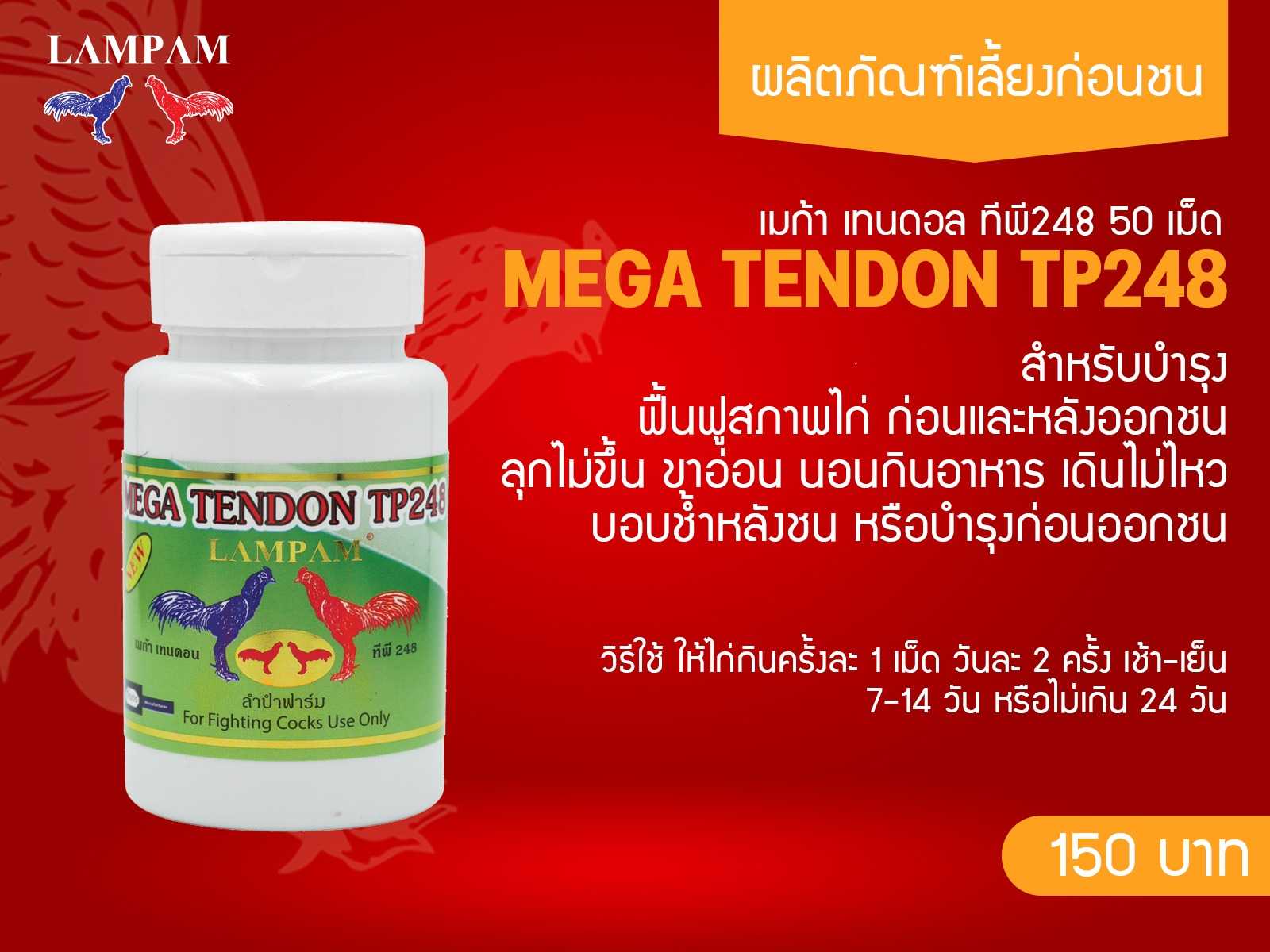 MEGA เทนด้อนTP248