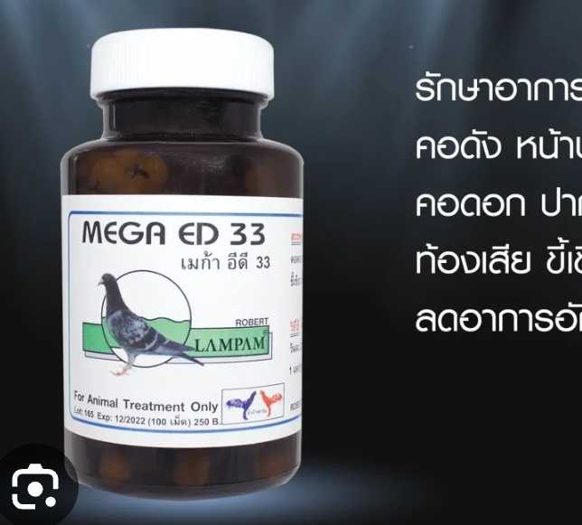 MEGA ED 33